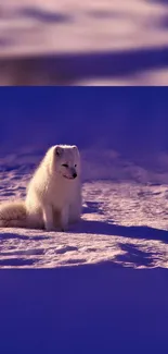 Polar Bear Sky Snow Live Wallpaper