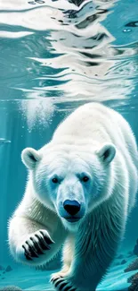 Polar bear swims underwater with colorful corals in stunning wallpaper.