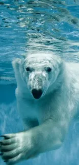 Polar bear swimming gracefully underwater in a tranquil setting.