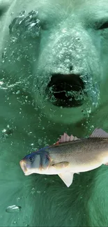 Underwater view of polar bear swimming with fish.