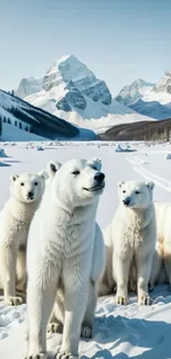 Polar bears in front of snowy mountains with clear blue skies.