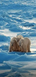 Polar bears on icy Arctic landscape with serene blue tones.