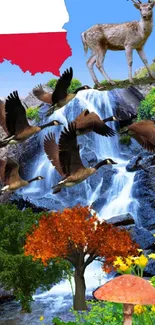 Polish nature with waterfall and wildlife on mobile wallpaper.