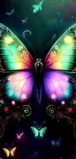 Vibrant butterfly with colorful wings on dark background.