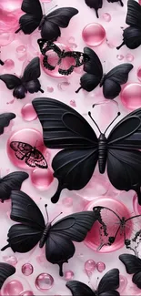 Pollinator Butterfly Insect Live Wallpaper