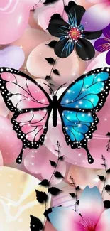 Pollinator Butterfly Insect Live Wallpaper