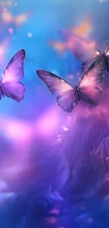 Pollinator Insect Arthropod Live Wallpaper