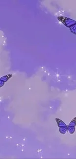 Pollinator Insect Blue Live Wallpaper