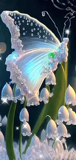 Pollinator Insect Botany Live Wallpaper