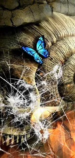 Pollinator Insect Butterfly Live Wallpaper