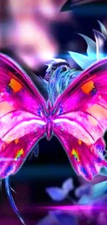 Pollinator Insect Butterfly Live Wallpaper