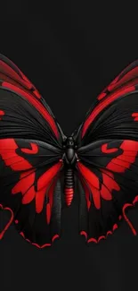 Red and black butterfly on dark background.