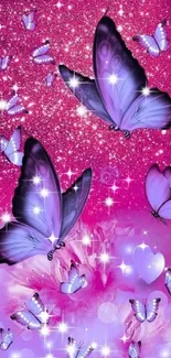 Pollinator Insect Butterfly Live Wallpaper