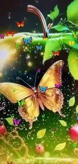 Pollinator Plant Butterfly Live Wallpaper