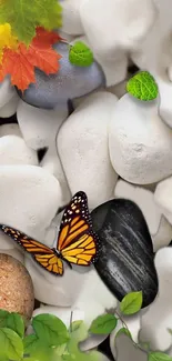 Pollinator Plant Butterfly Live Wallpaper