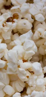 Close-up view of freshly popped popcorn.