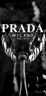 Monochrome Prada snake wallpaper for mobile.