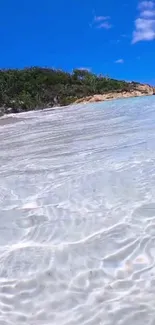 Crystal clear beach with blue sky and lush greenery.