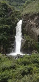 A serene waterfall amidst lush green forest landscape.