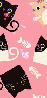 Product Mammal Pink Live Wallpaper