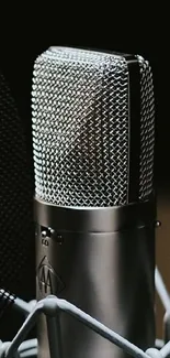 Close-up of a professional studio microphone.