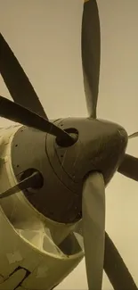 Close-up view of an aircraft propeller.