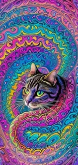 Psychedelic cat with colorful swirling patterns wallpaper.