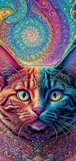 Psychedelic cat design with vibrant colors and intricate patterns.