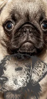 Pug and sketch-style dog wallpaper for mobile devices.