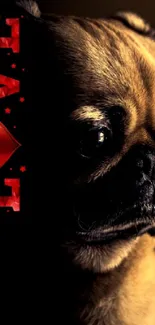 Pug with 'LOVE' text on dark wallpaper.