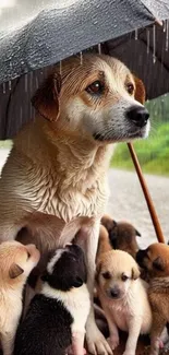 Dog and puppies seek shelter under an umbrella in the rain.