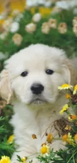 Cute puppy in a field of yellow flowers, perfect for a mobile wallpaper.