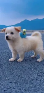 Cute fluffy white puppy with blue bird on scenic background.