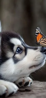 Puppy and butterfly sharing a delicate moment together.