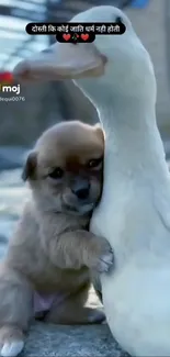 Cute wallpaper of a puppy hugging a duck.