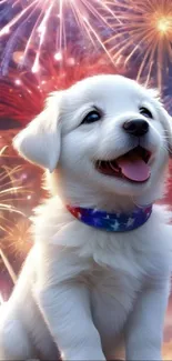 White puppy with fireworks background.