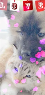 Fluffy puppy cuddles a kitten beneath LOVE banner.