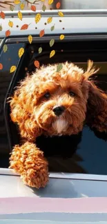 Cute puppy enjoys car ride with autumn leaves.