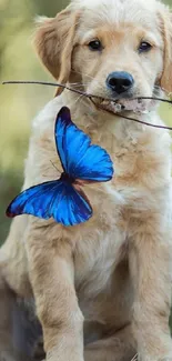 Golden retriever puppy with blue butterfly in a forest.