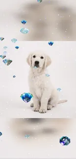 White puppy surrounded by floating sparkling gems.