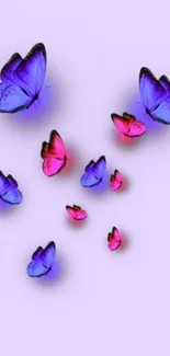 Purple and pink butterflies on a lavender background.