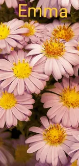 Vibrant purple and pink floral wallpaper with daisies.