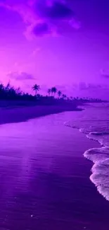 Purple sunset over a calm beach with waves.