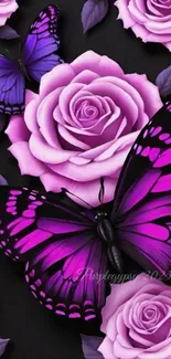 Purple butterflies and roses art wallpaper.