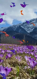 Field of purple flowers with snowy mountains under a blue sky.