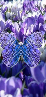 Blue butterfly on purple crocus flowers, vibrant and serene wallpaper design.