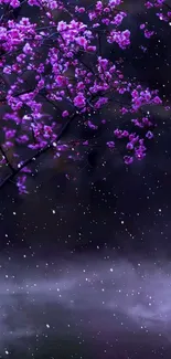 Purple blossoms with snowflakes on a dark background wallpaper.