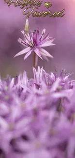 Purple flower with 'Highly Favored' text overlay on a mobile wallpaper.