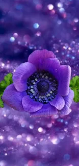 Purple flower with leafy accents on a cosmic background.