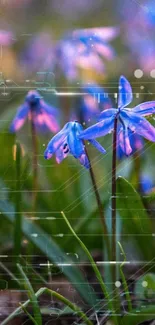 Purple and blue flowers in a serene natural setting.